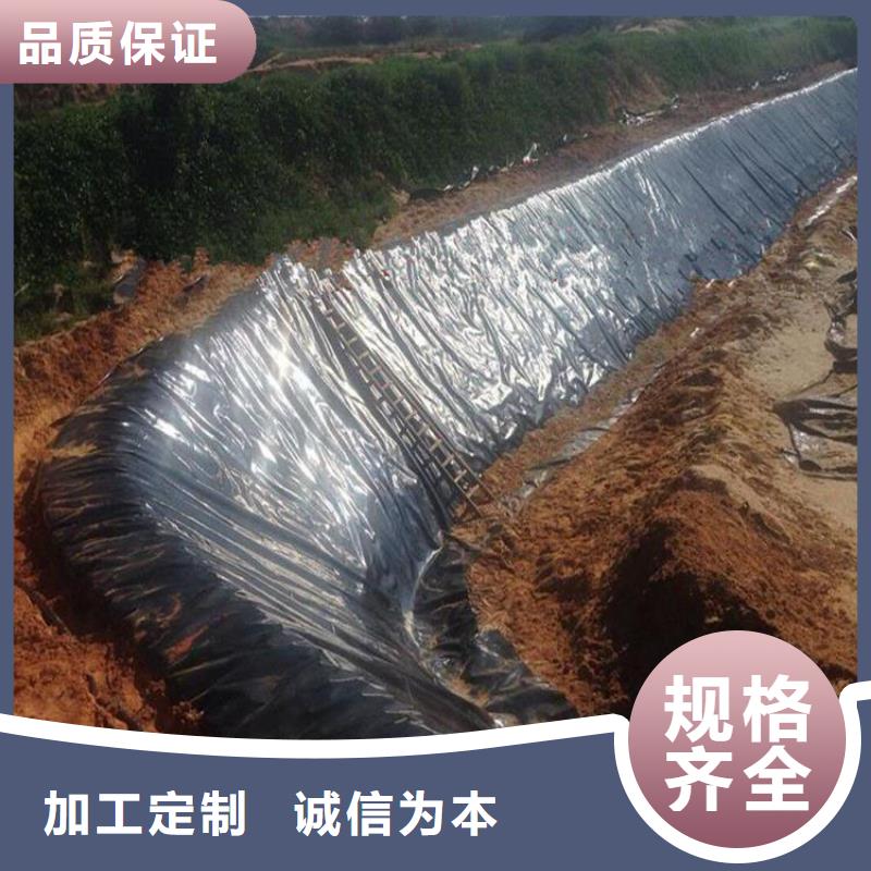 【土工膜】塑料土工格栅原厂制造