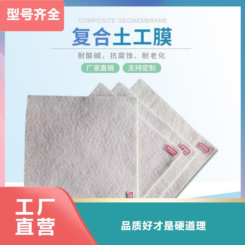 土工布玻纤格栅厂家供应