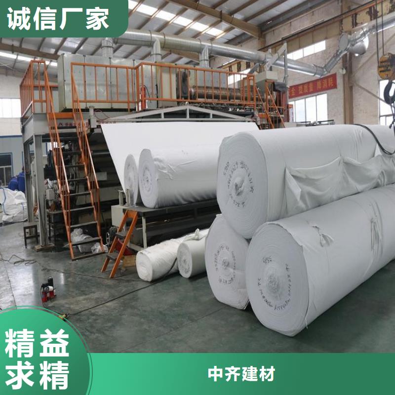 土工布玻纤格栅厂家供应