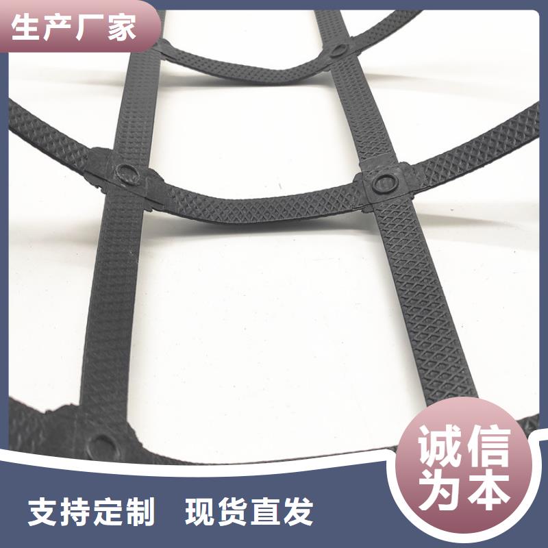 土工格栅三维植被网本地配送