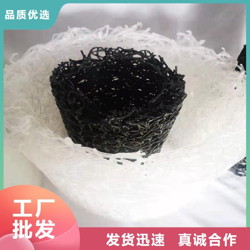 玻纤格栅视频-河南省信阳市|潢川|淮滨|驻马店|商丘|漯河|郑州|许昌玻纤格栅-中齐