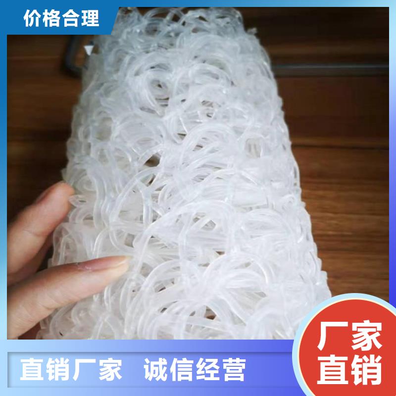 玻纤格栅视频-河南省信阳市|潢川|淮滨|驻马店|商丘|漯河|郑州|许昌玻纤格栅-中齐