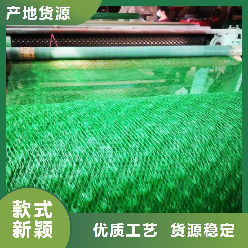 三维植被网植草格现货交易