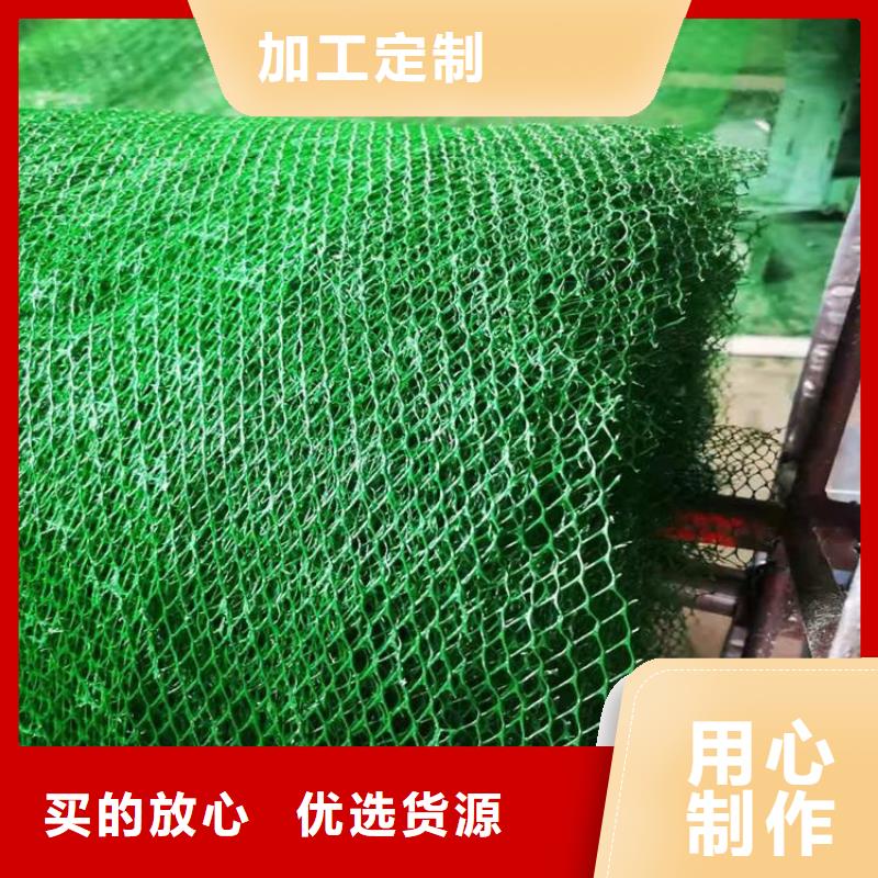 【三维植被网硬式透水管保障产品质量】