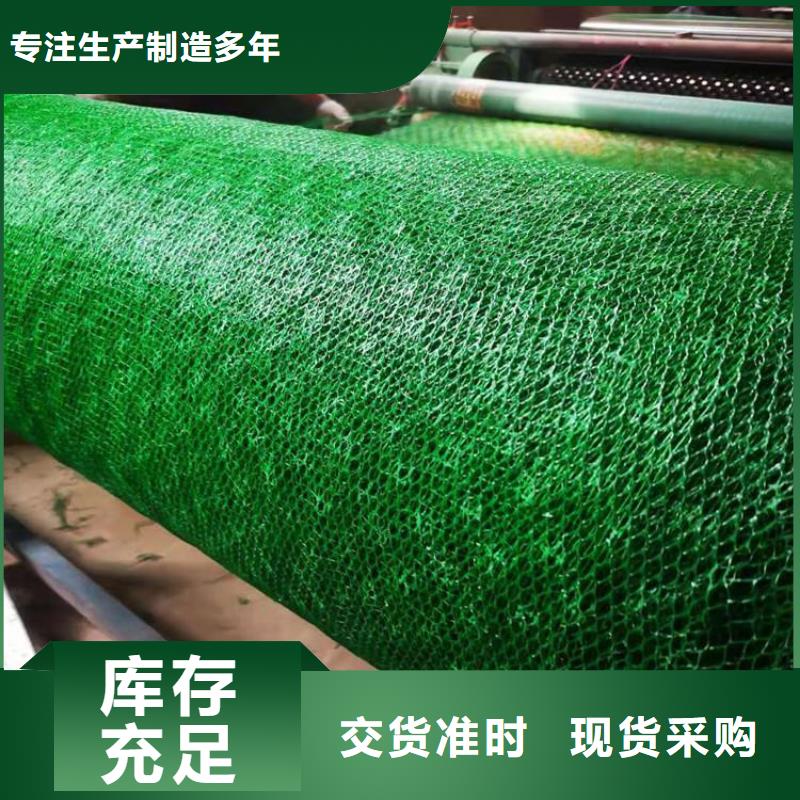 三维植被网植草格现货交易
