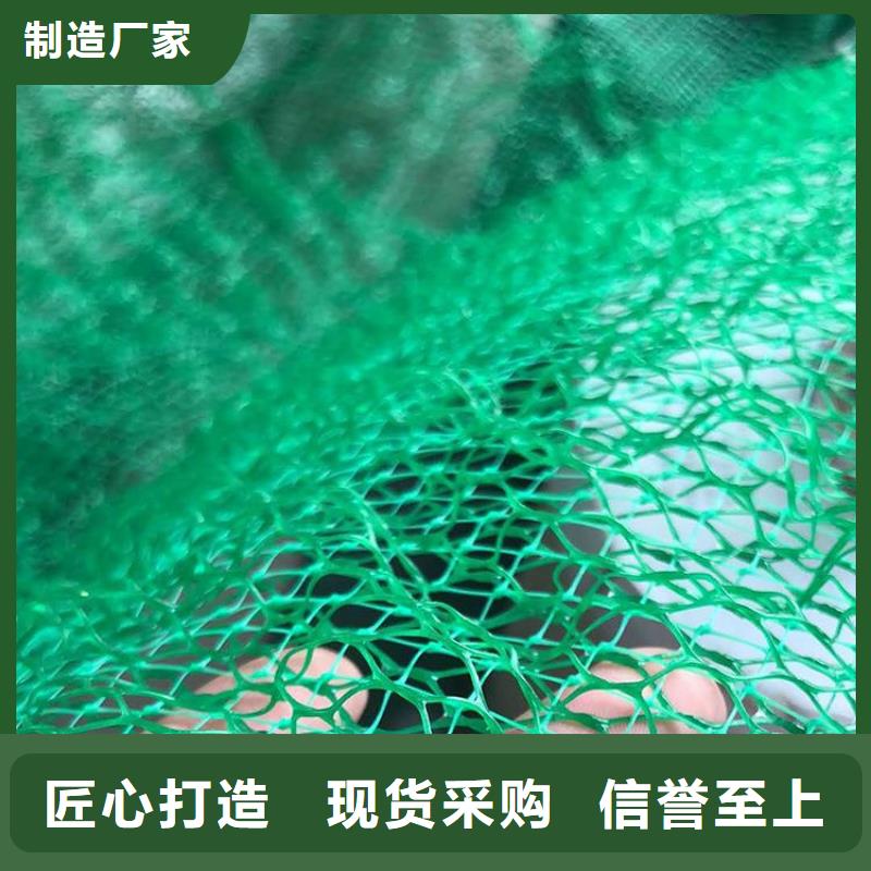 【三维植被网硬式透水管保障产品质量】