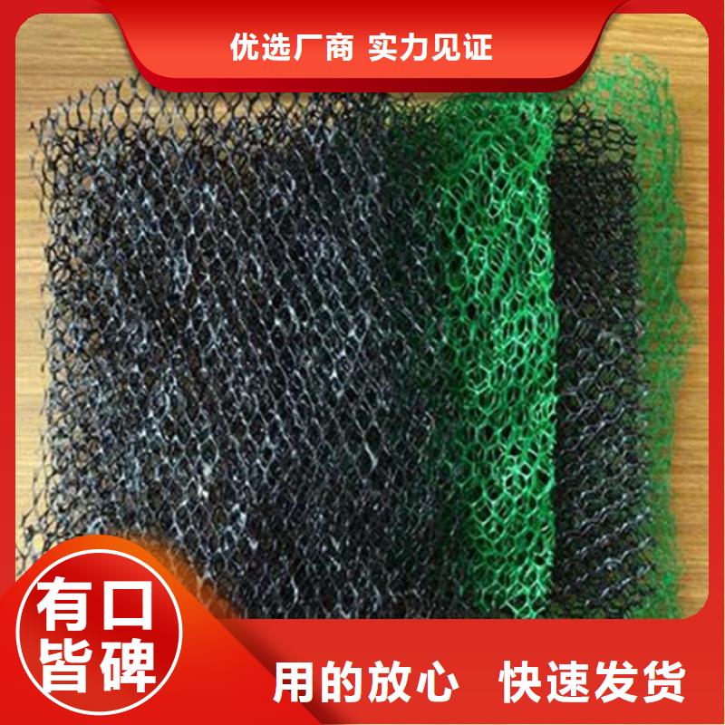 三维植被网,玻纤格栅24小时下单发货