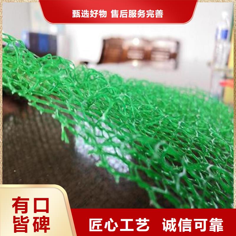 三维植被网防渗膜厂家直销售后完善