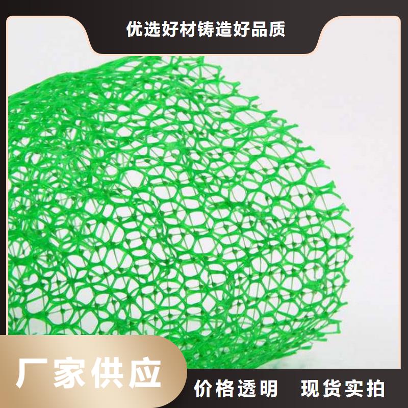 三维植被网涤纶格栅库存齐全厂家直供