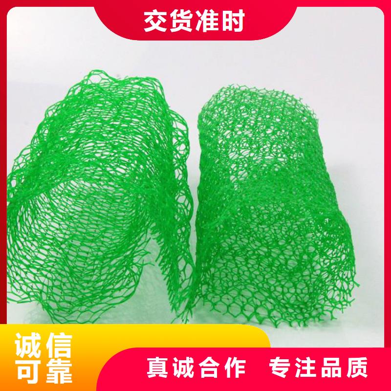 三维植被网,玻纤格栅24小时下单发货