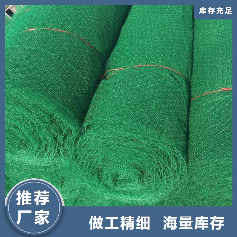 三维植被网,玻纤格栅24小时下单发货