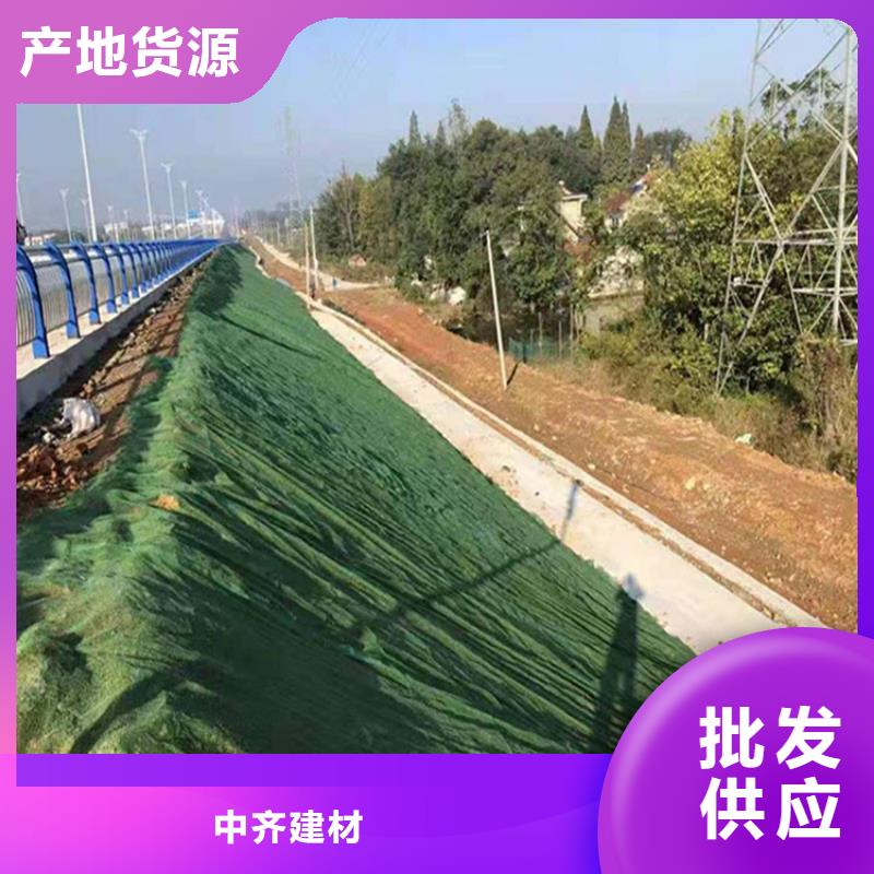 玻纤格栅视频-河北省张家口市中齐玻纤格栅可服务区域沽源|怀安|唐山|沧州|廊坊|保定|衡水|秦皇岛|邢台等