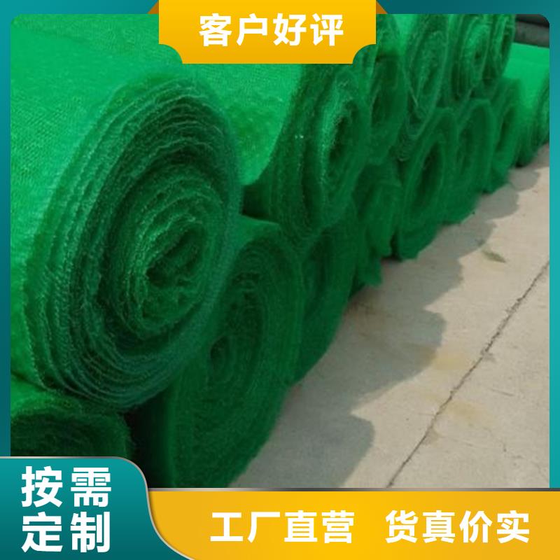 三维植被网防渗膜厂家直销售后完善