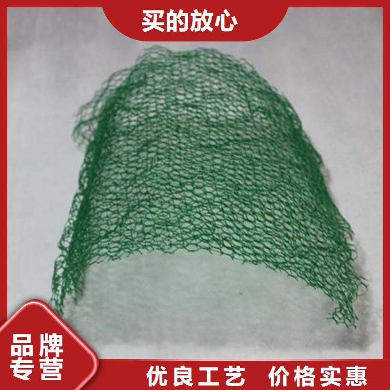 【三维植被网硬式透水管保障产品质量】