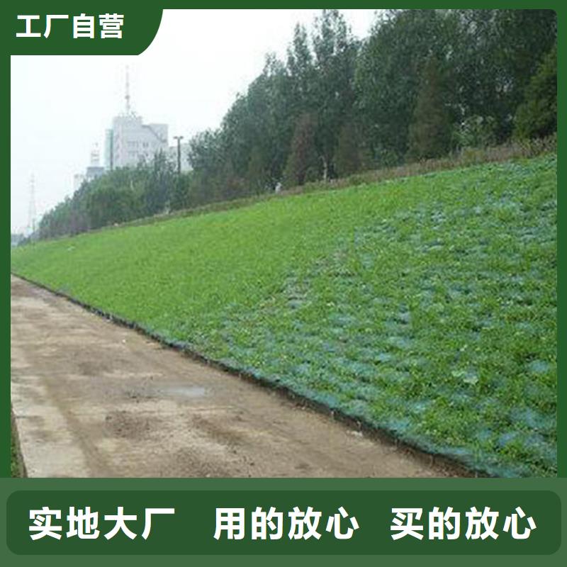 三维植被网防渗膜厂家直销售后完善