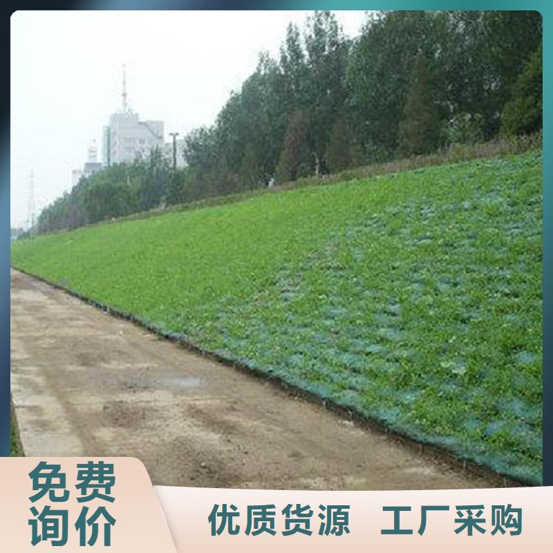 【三维植被网硬式透水管保障产品质量】