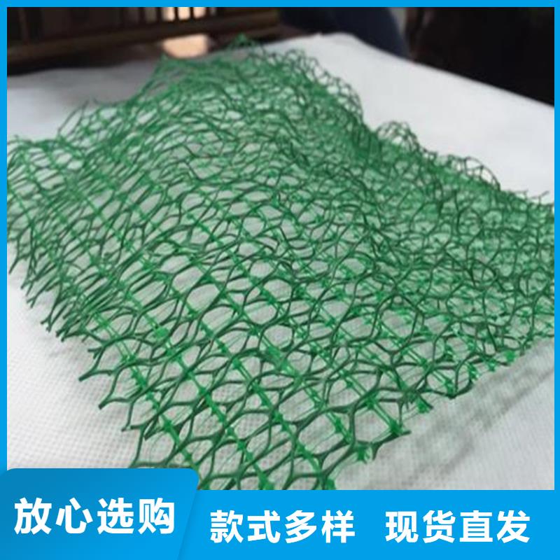 三维植被网防渗膜厂家直销售后完善