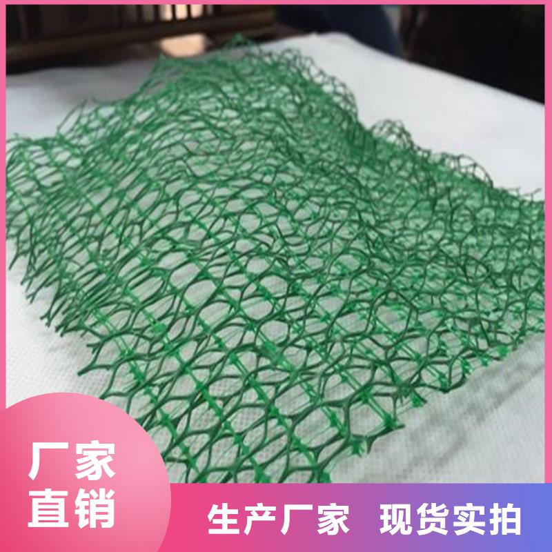 【三维植被网硬式透水管保障产品质量】