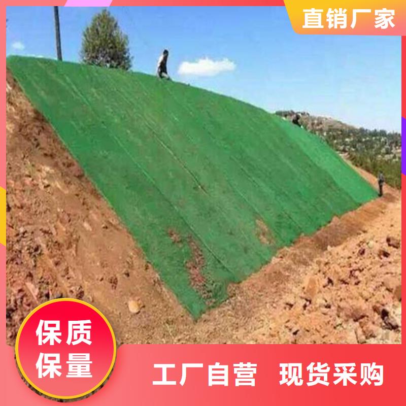三维植被网防渗膜厂家直销售后完善