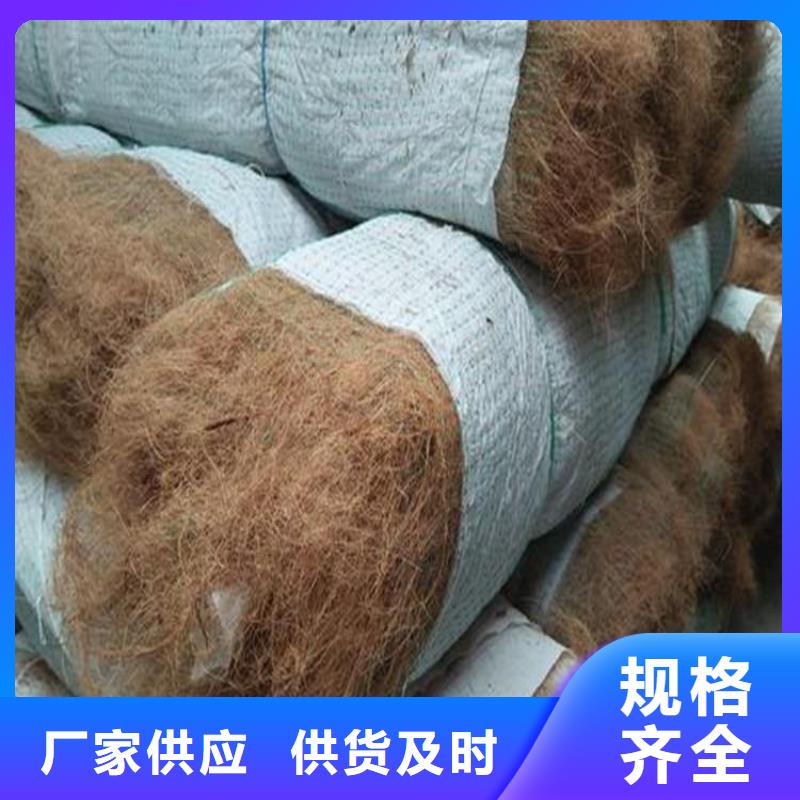 玻纤格栅视频-玻纤格栅-广西省柳州市【本地】货源-柳江|鹿寨|梧州|贺州|崇左|来宾|玉林|南宁|桂林