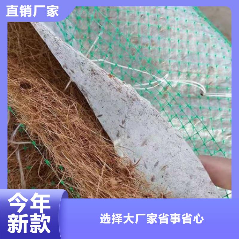 玻纤格栅视频-玻纤格栅-广西省柳州市【本地】货源-柳江|鹿寨|梧州|贺州|崇左|来宾|玉林|南宁|桂林