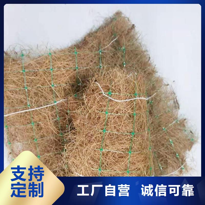 玻纤格栅视频-玻纤格栅_广东省佛山市市场覆盖南海|顺德|云浮|茂名|珠海|江门|广州|韶关|揭阳等