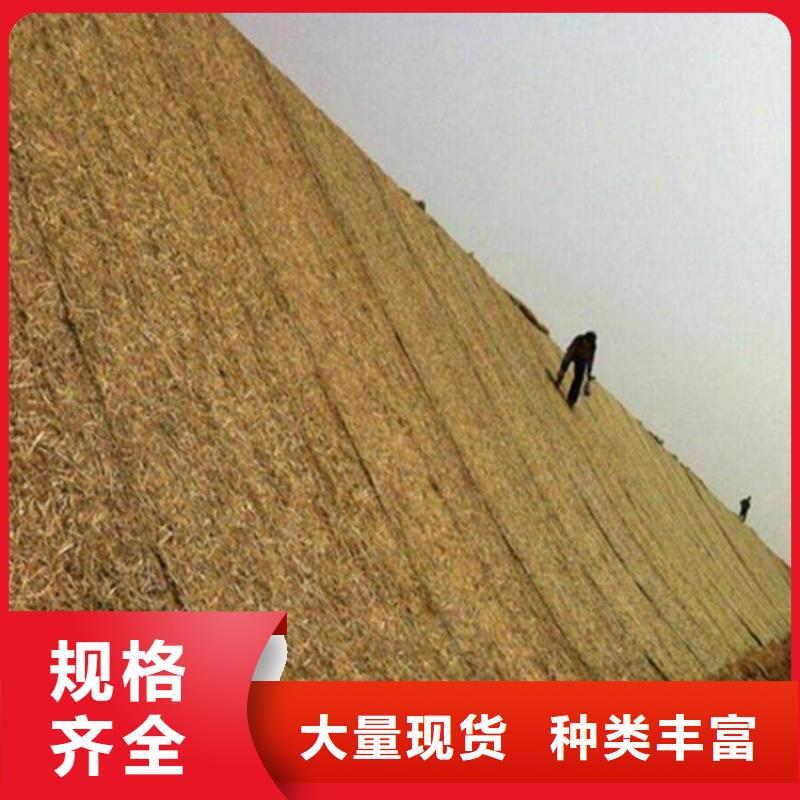 玻纤格栅视频-玻纤格栅-广西省柳州市【本地】货源-柳江|鹿寨|梧州|贺州|崇左|来宾|玉林|南宁|桂林