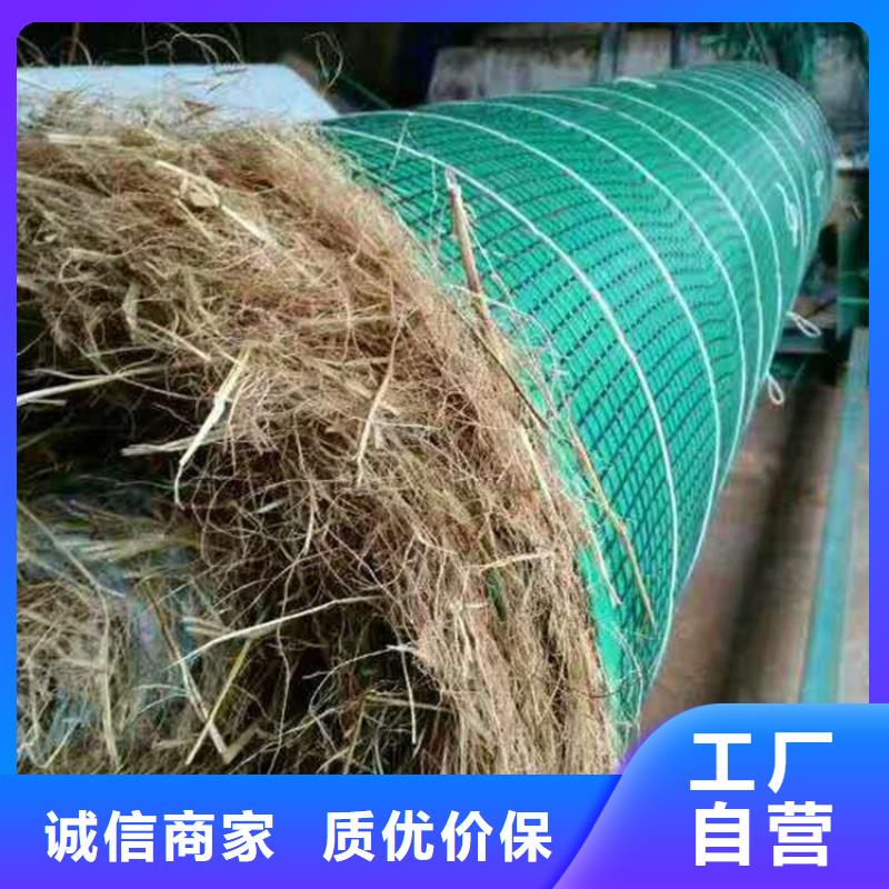玻纤格栅视频-玻纤格栅-广西省柳州市【本地】货源-柳江|鹿寨|梧州|贺州|崇左|来宾|玉林|南宁|桂林