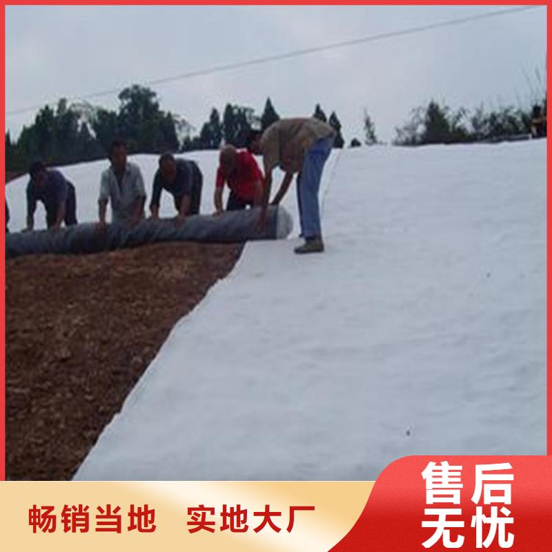 【膨润土防水毯三维植被网厂家直销售后完善】