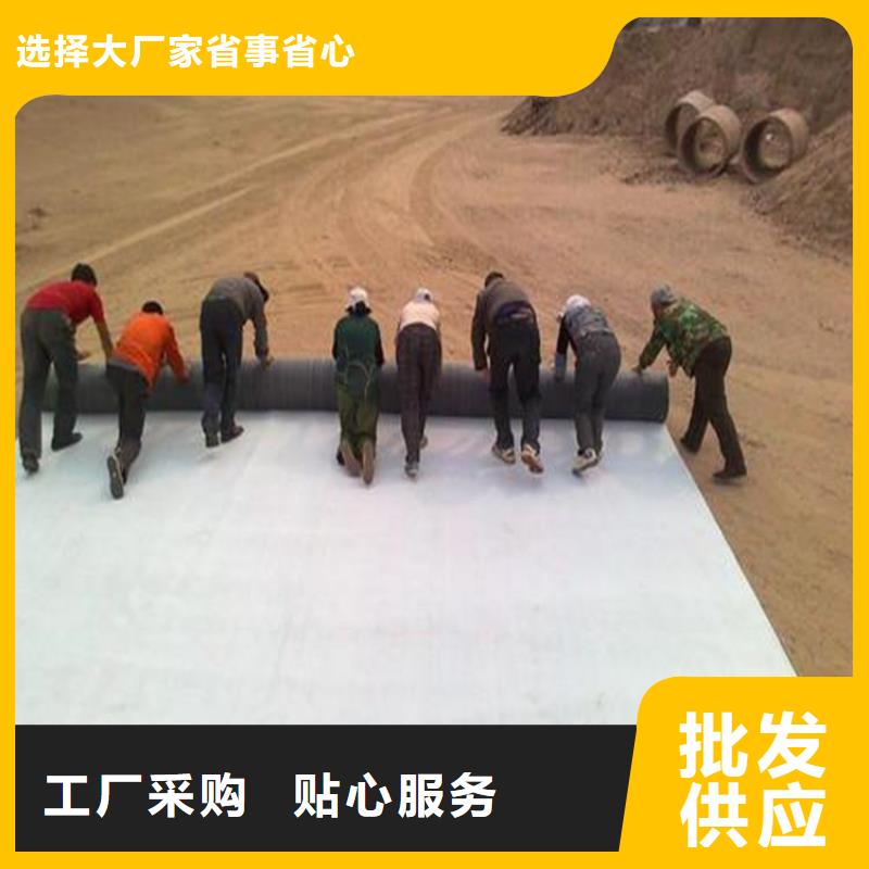 膨润土防水毯拉筋带价格实惠工厂直供