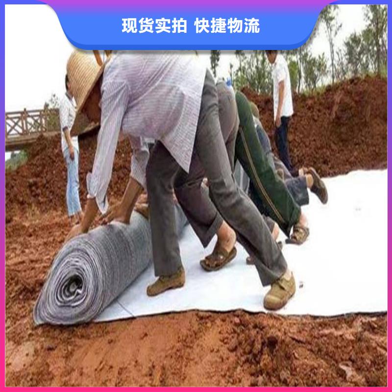 膨润土防水毯_玻纤格栅源头采购