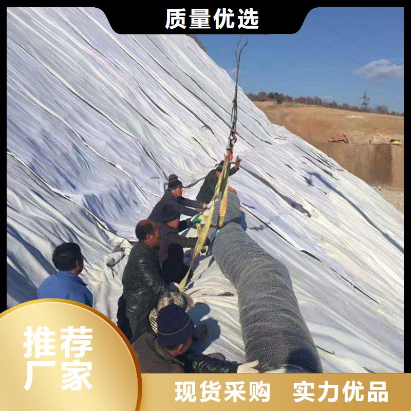 膨润土防水毯_机织布专业生产品质保证