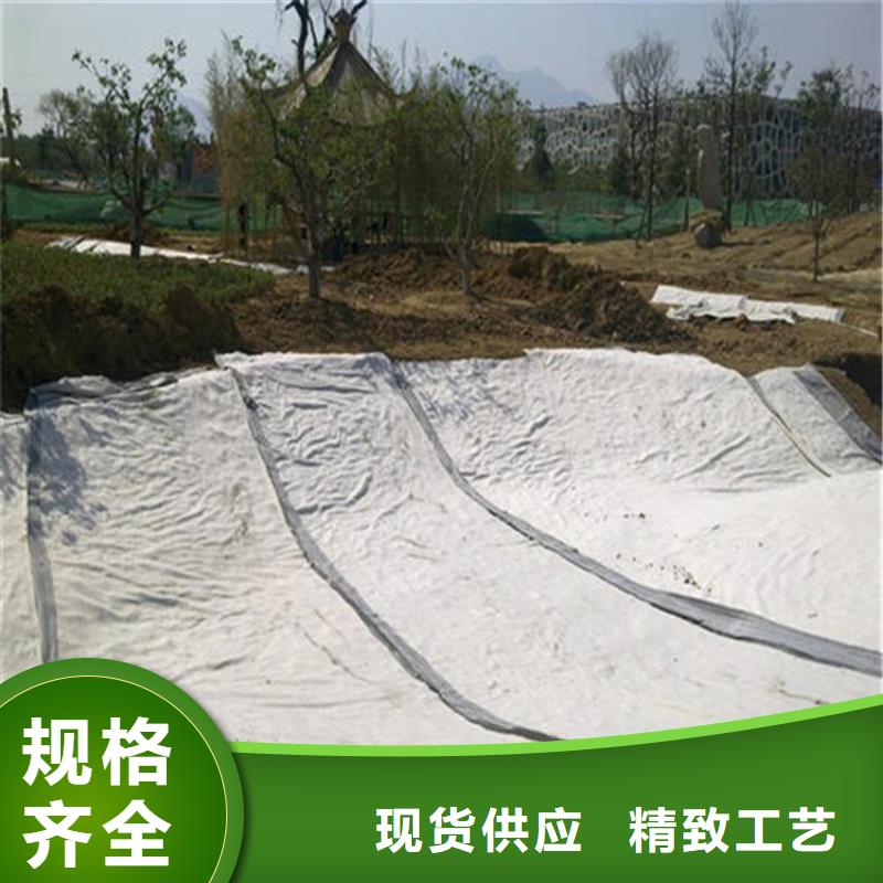膨润土防水毯拉筋带价格实惠工厂直供