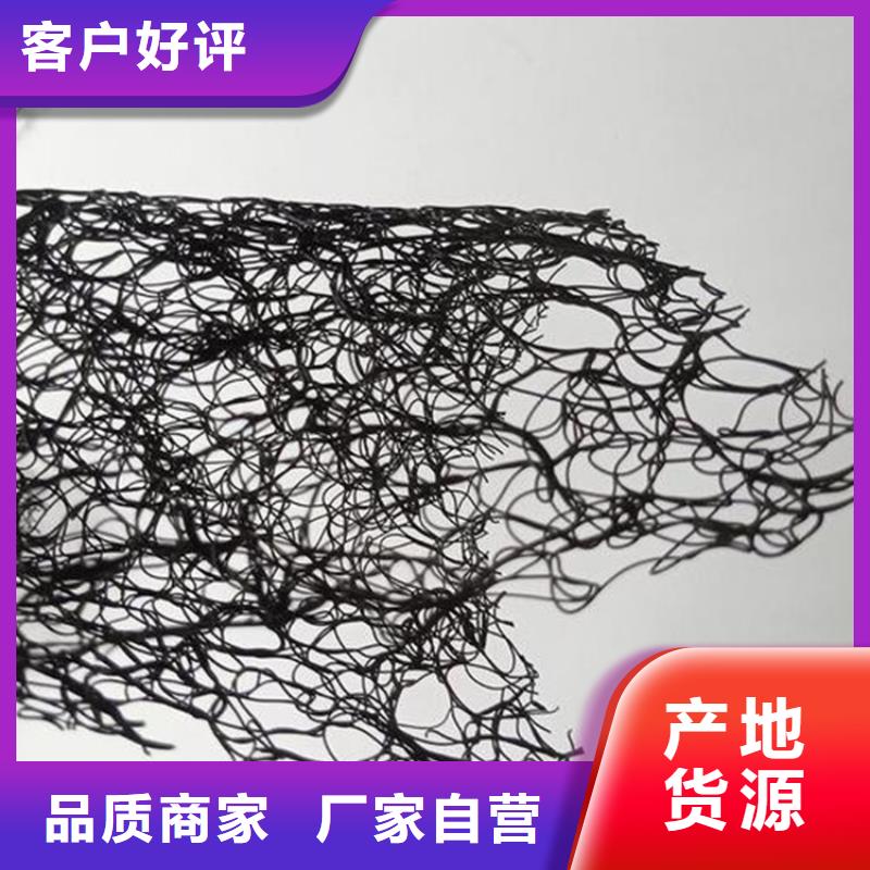 通风降噪丝网-三维植被网专业生产N年