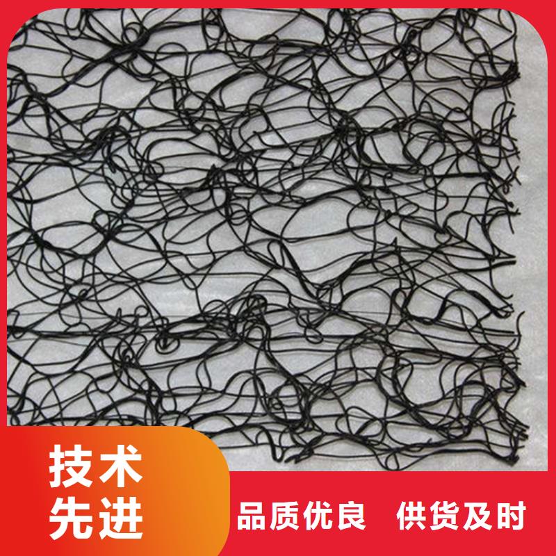 通风降噪丝网-三维植被网专业生产N年