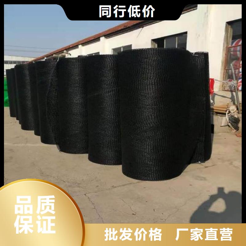 通风降噪丝网-三维植被网专业生产N年
