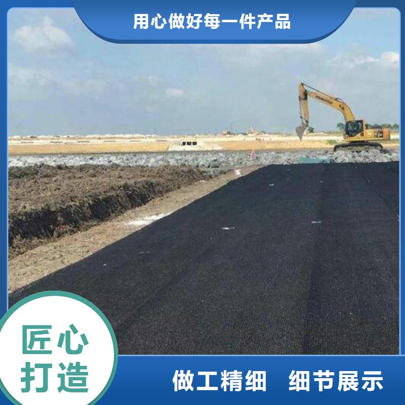 水土保护毯-土工格栅值得买