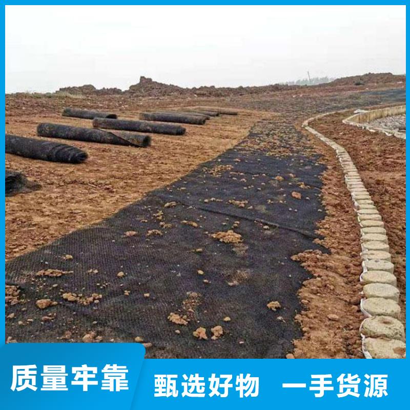 玻纤格栅视频-玻纤格栅_湖南省市场覆盖邵阳|常德|张家界|岳阳等