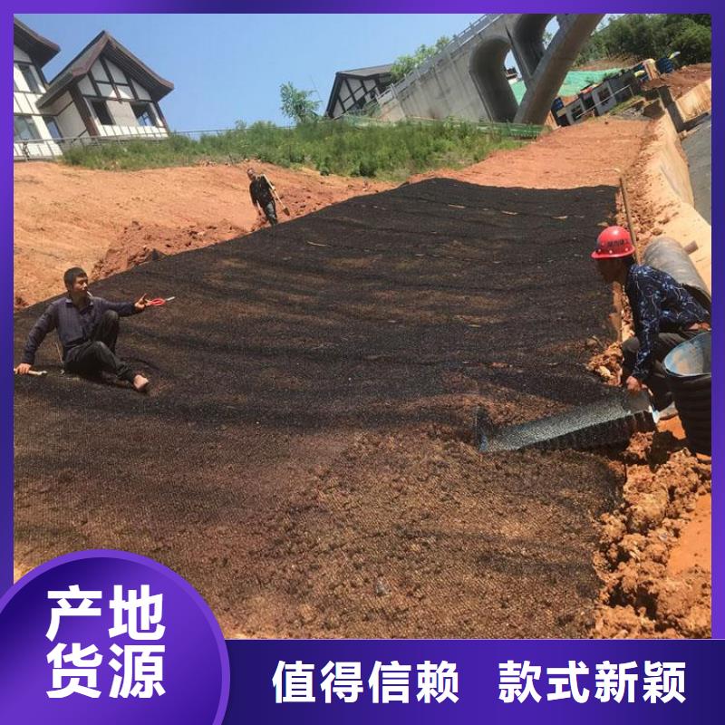 水土保护毯-土工格栅值得买