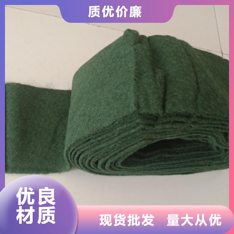 裹树布-钢塑格栅厂家型号齐全
