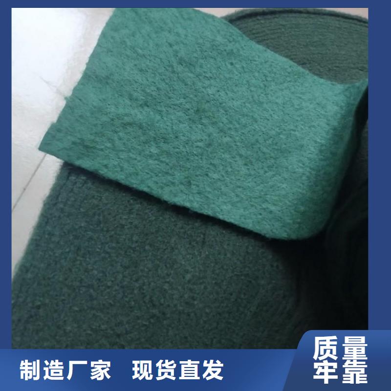 裹树布玻纤格栅厂家自营