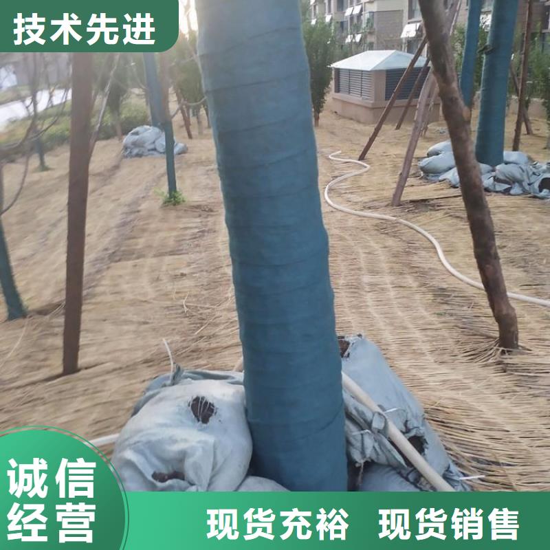裹树布玻纤格栅厂家自营