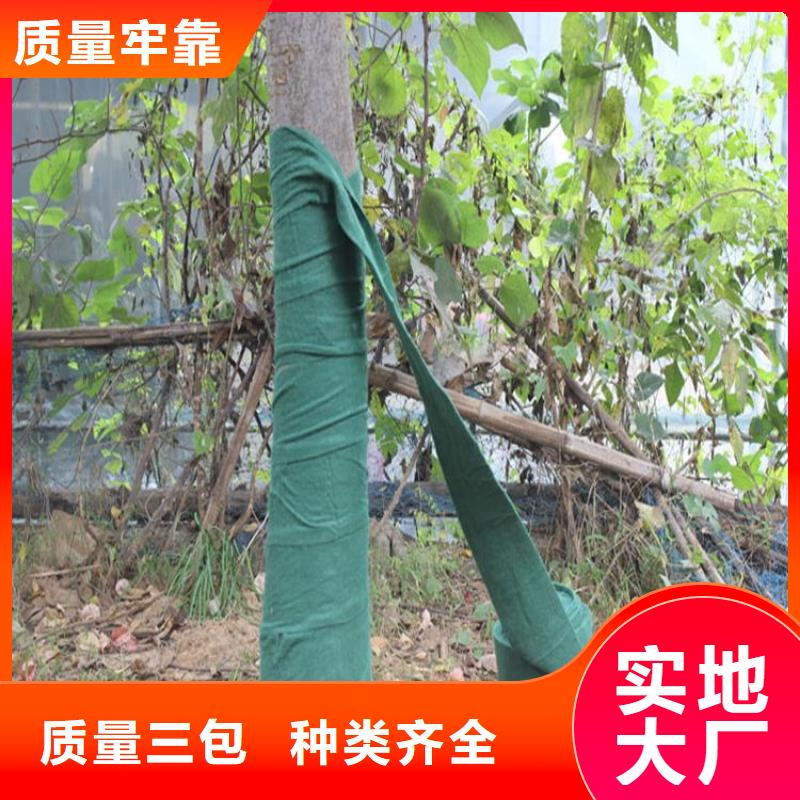 玻纤格栅视频-玻纤格栅|广东省佛山市|高明|南海|珠海|中山|东莞|云浮|江门|阳江