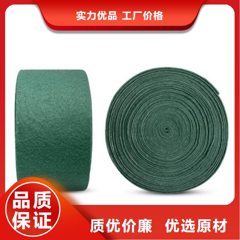 裹树布-钢塑格栅厂家型号齐全