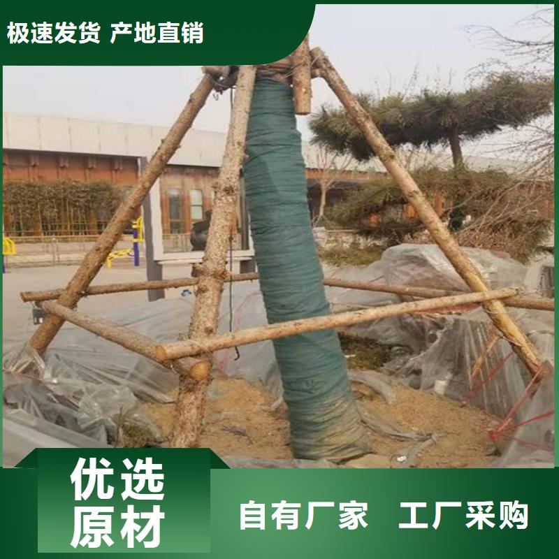 裹树布防水毯品质有保障