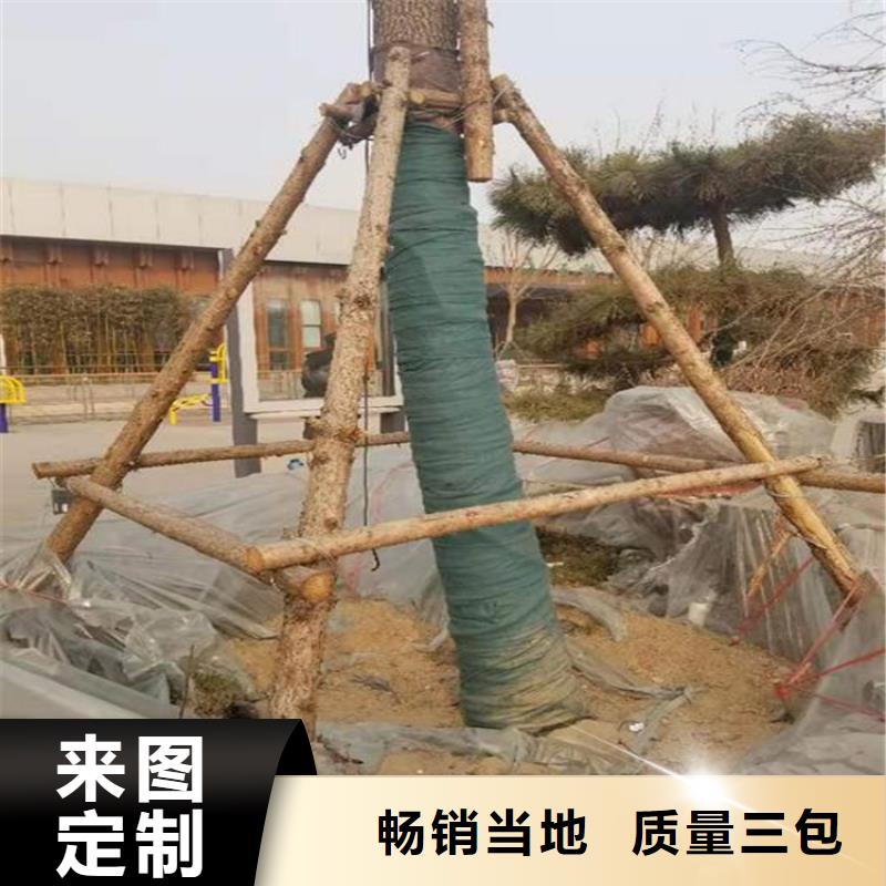 裹树布土工膜支持拿样