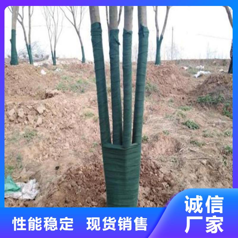 玻纤格栅视频-玻纤格栅|广东省佛山市|高明|南海|珠海|中山|东莞|云浮|江门|阳江