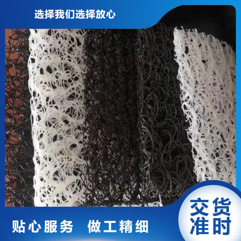玻纤格栅视频-玻纤格栅-中齐建材(广安市分公司)服务区域武胜|华蓥|巴中|资阳|宜宾|阿坝|绵阳|雅安|凉山