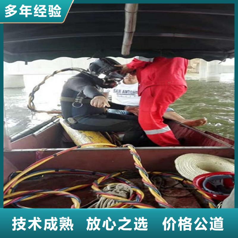 水下 水下照相精英团队