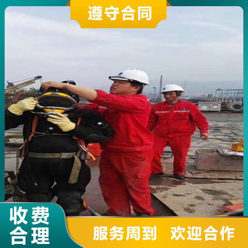 水下 水下照相精英团队
